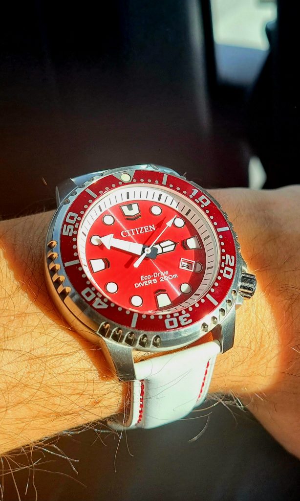 citizen promaster ecodrive